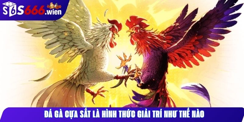 Đá gà cựa sắt là hình thức giải trí như thế nào