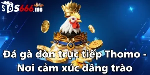 da-ga-don-truc-tiep-thomo-noi-cam-xuc-dang-trao