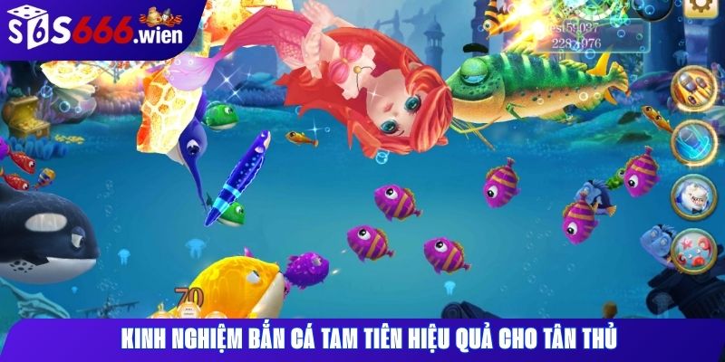 Kinh nghiệm bắn cá Tam Tiên hiệu quả cho tân thủ