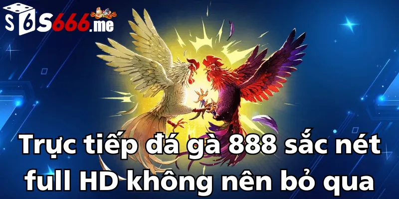 truc-tiep-da-ga-888-sac-net-full-hd-khong-nen-bo-qua