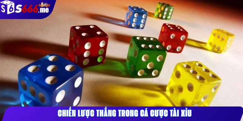 Chiến Lược Thắng Trong Cá Cược Tài Xỉu