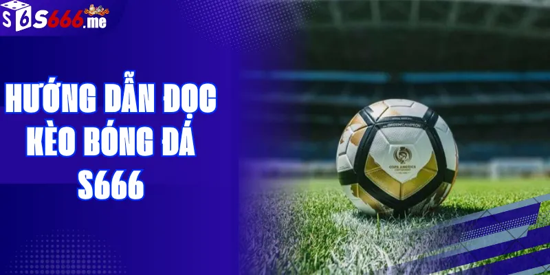 Hướng Dẫn Đọc Kèo Bóng Đá S666
