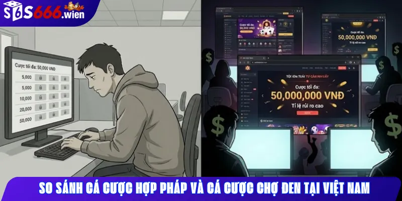 Sự khác biệt giữa cá cược hợp pháp và cá cược chợ đen tại Việt Nam