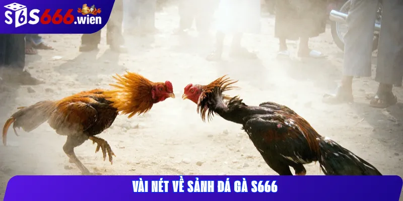 Vài nét về sảnh Đá Gà S666