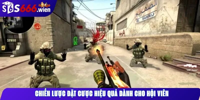 Chiến lược đặt cược hiệu quả dành cho hội viên