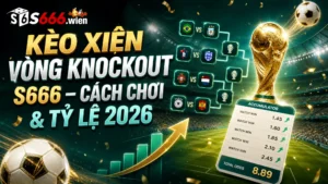 Kèo Xiên Vòng Knockout S666 – Cách Chơi & Tỷ Lệ 2026